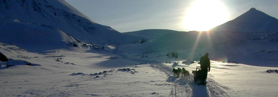 Dog sledding in the Arctic Circle